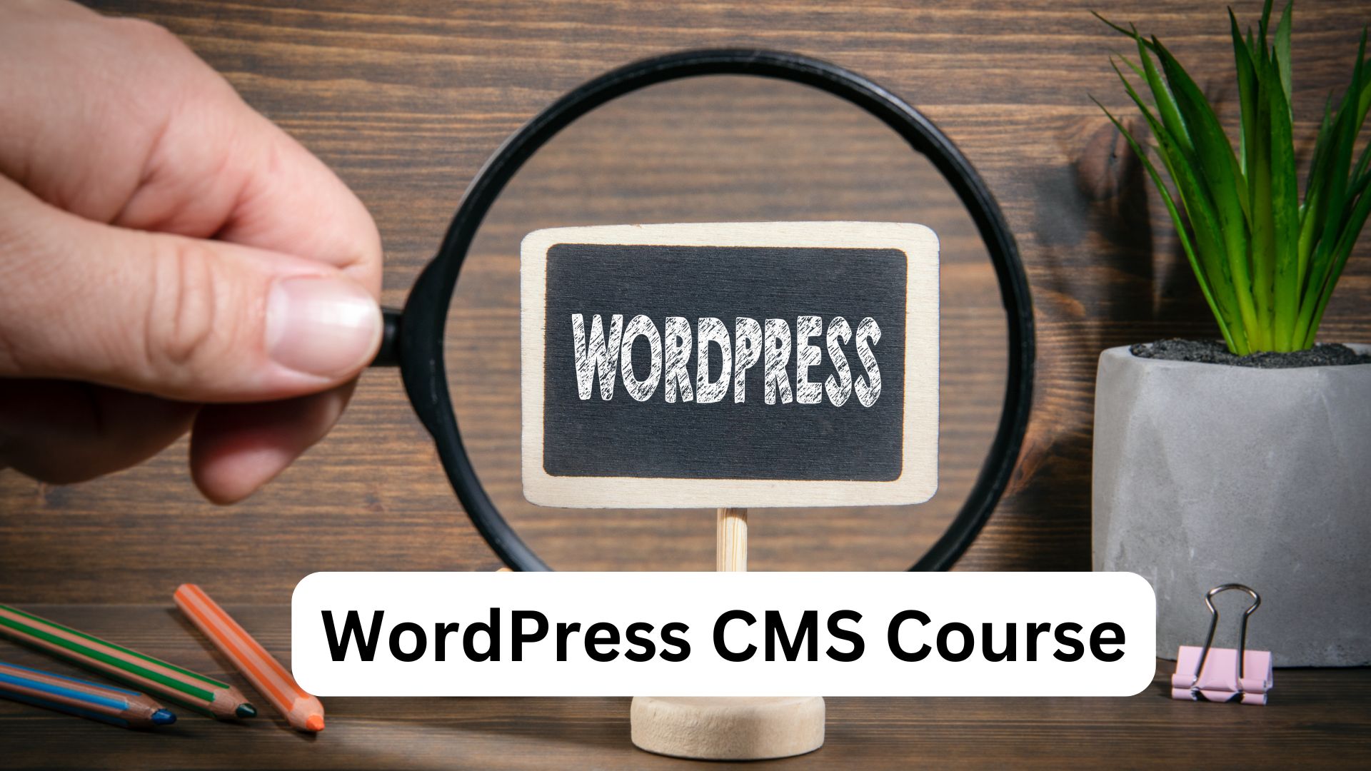 WordPress CMS Course