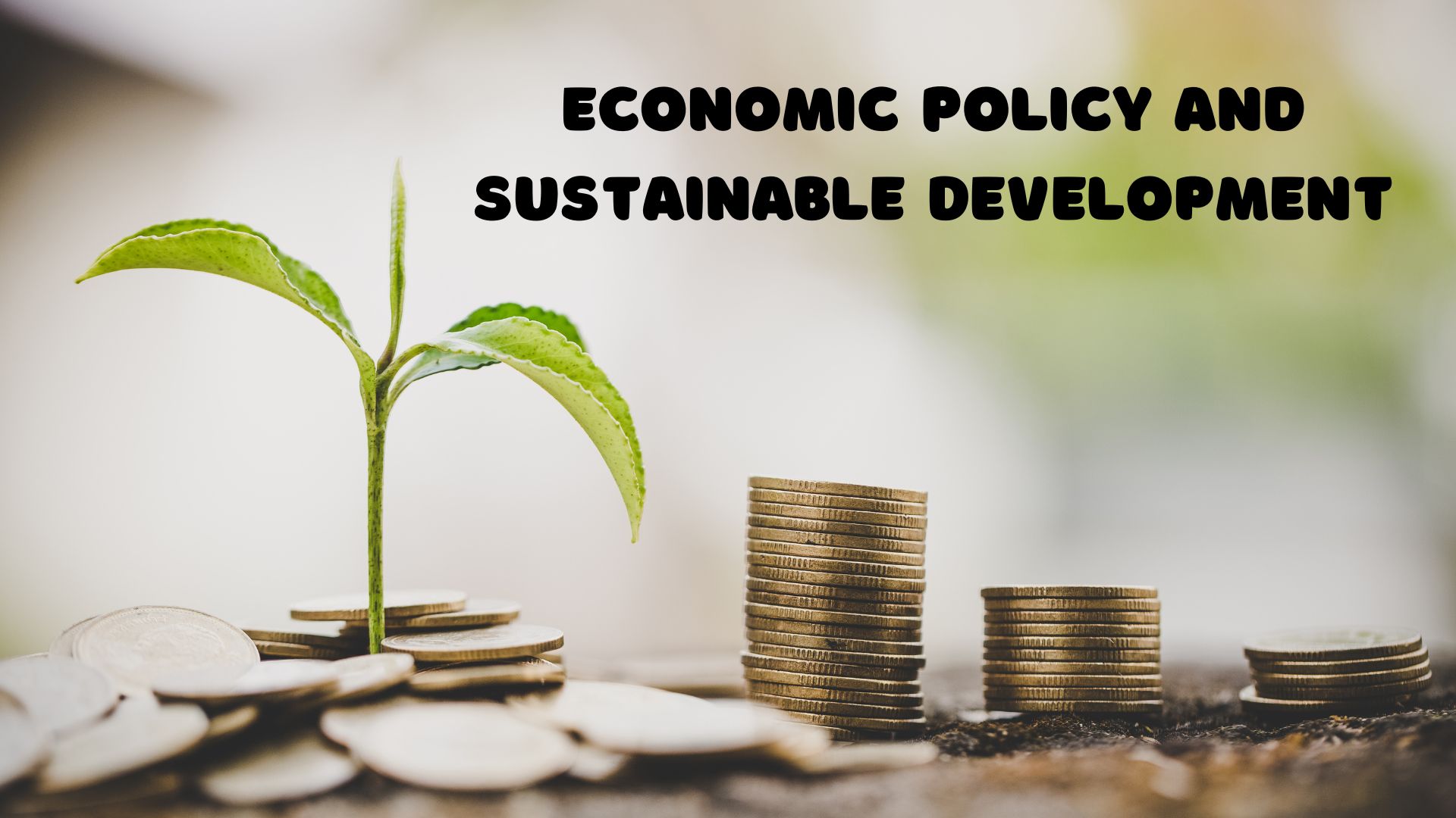 Economic policy and sustainable development